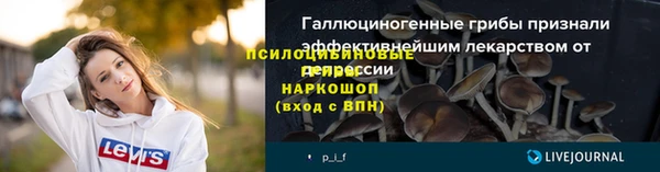 Альфа ПВП Зеленокумск